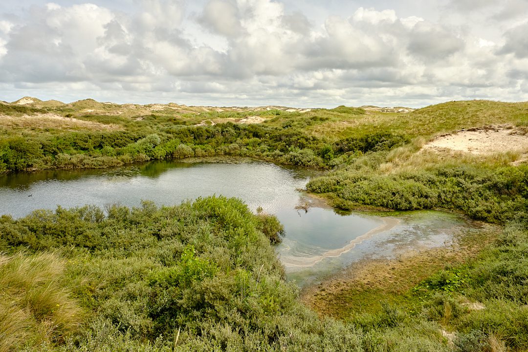 Nivon 2022 Zomer Banjaert Omgeving_13_online