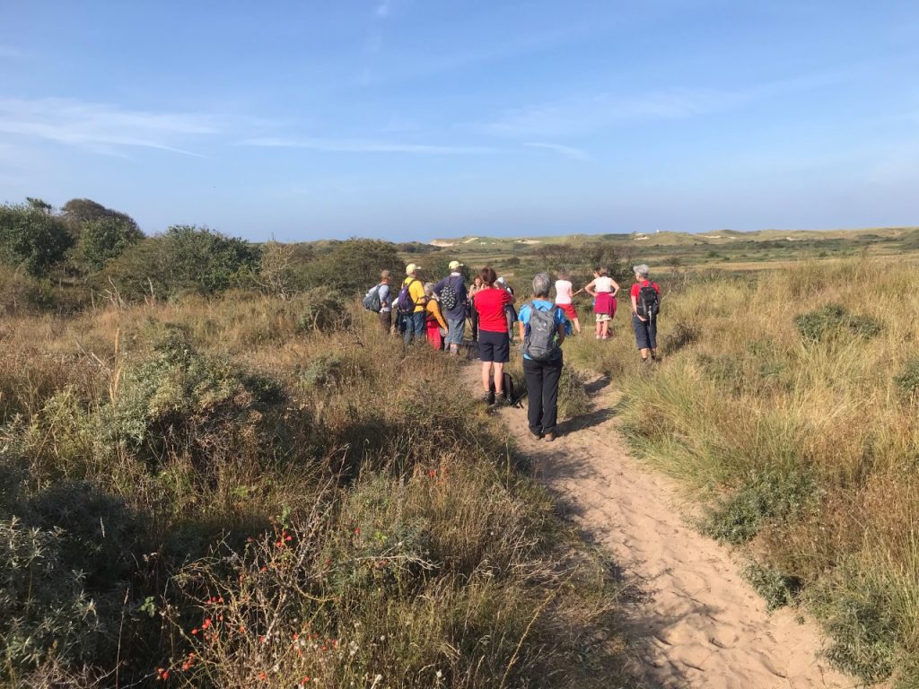 Banjeren vanuit Banjaert